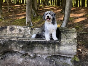Ulkoalueet