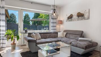 Fernseher