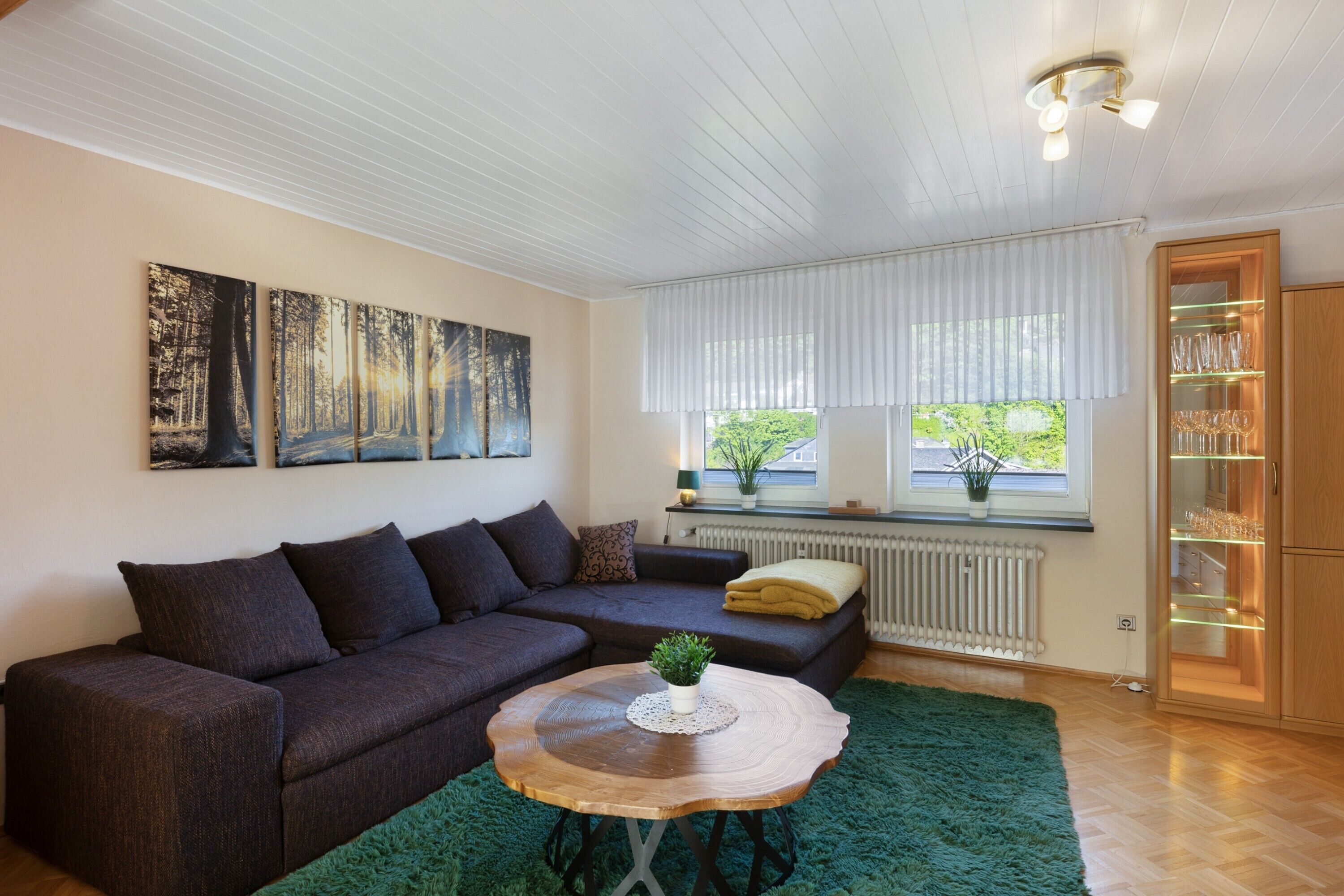 Fernseher, Kamin