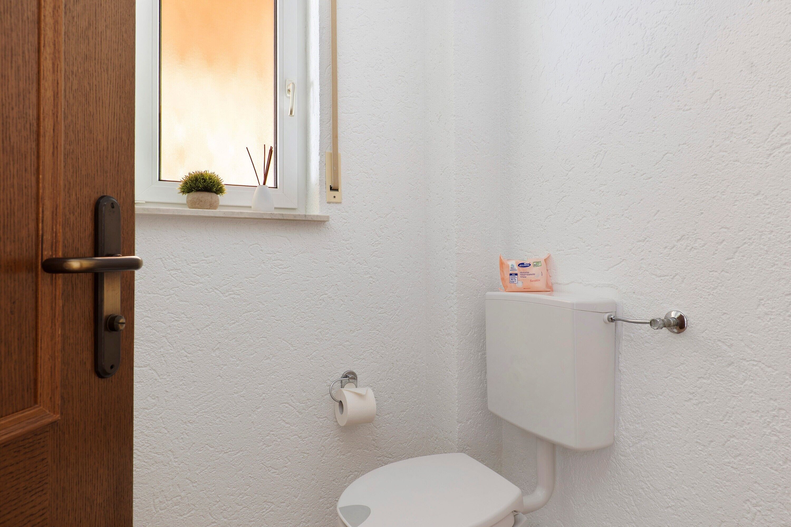 Een badkamer met een toilet, een houten deur, een raam met een plant en een toiletrol.