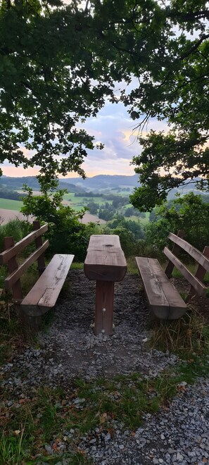 Terrace/patio - Apartment 'Conte' with Mountain View, Private Terrace and Wi-Fi (Mörlenbach)