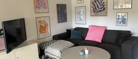 TV, books, computer monitors