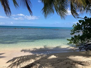 A beach with clear turquoise water, sandy shore, and palm trees.