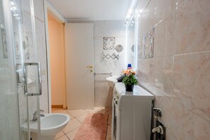 Shower, hair dryer, bidet, towels