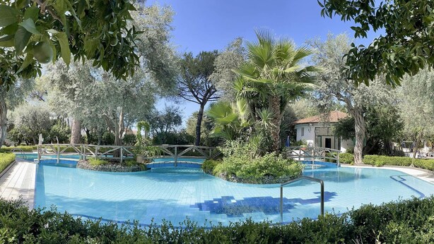 Una piscina rodeada de exuberante vegetación y árboles.