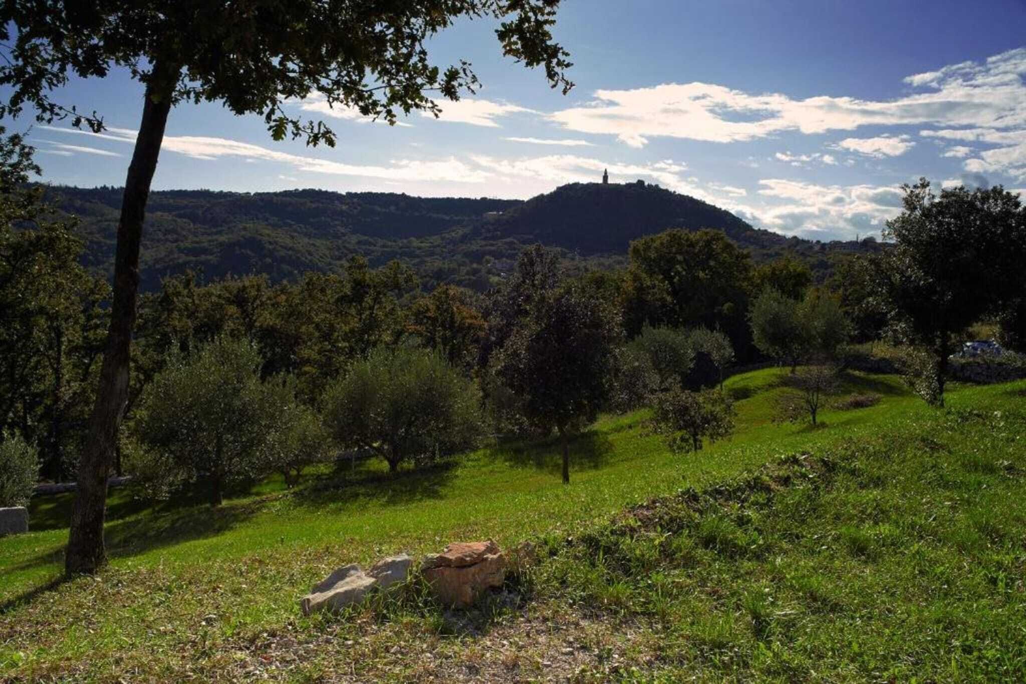 Eine natürliche Landschaft mit Hügel und Bäumen.
