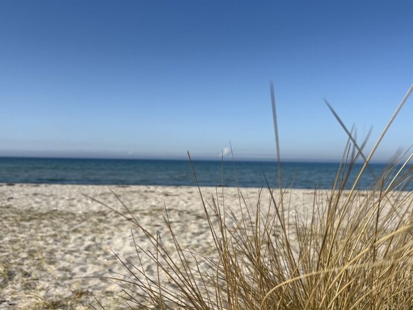 Platja