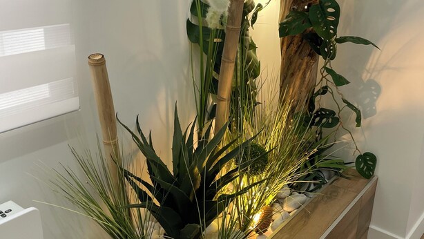 Una jardinera rectangular con diversas plantas, entre ellas un bambú alto, hojas verdes grandes y un pequeño piñón.