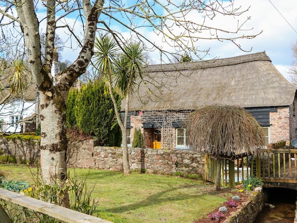 Meadow Thatch - Torquay