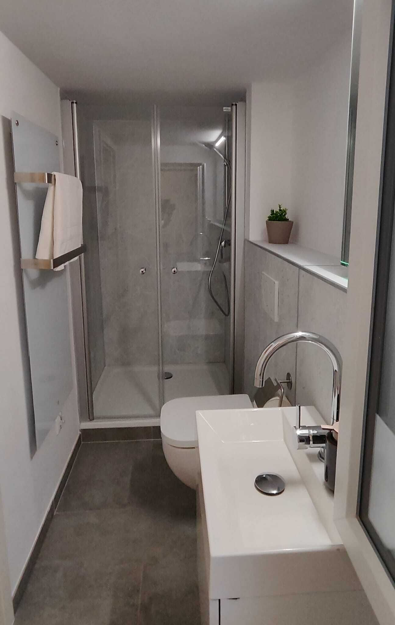 A modern bathroom with a glass-enclosed shower, a toilet, and a sink with a mirror.