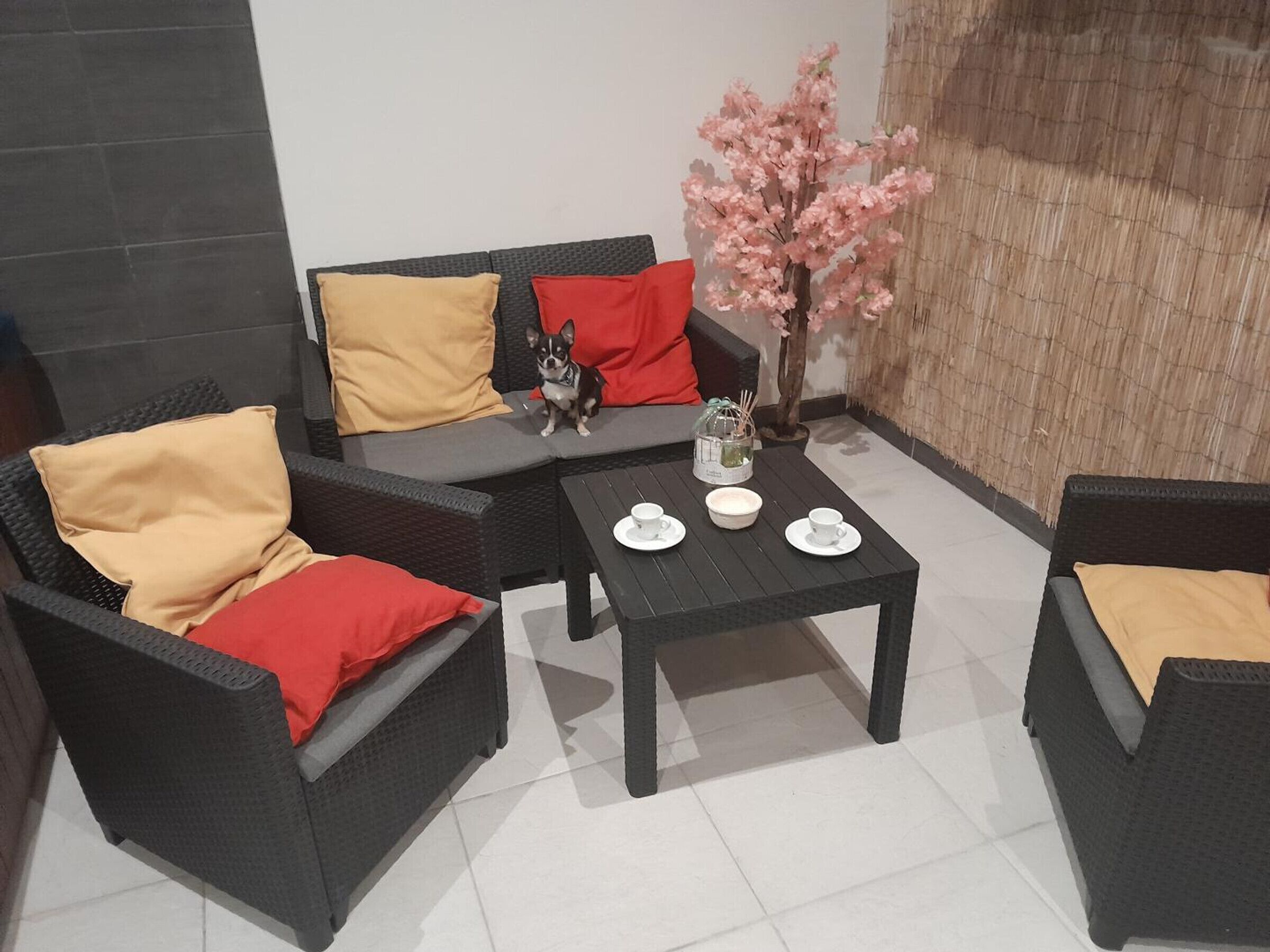 A furnished outdoor seating area with a sofa, chairs, a table, and a decorative tree.