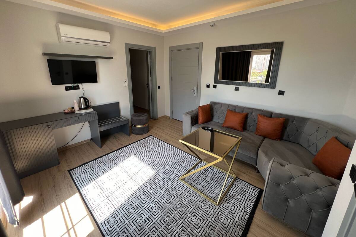 A modern living room with a grey sofa, a coffee table, a flat-screen TV, and a patterned rug.