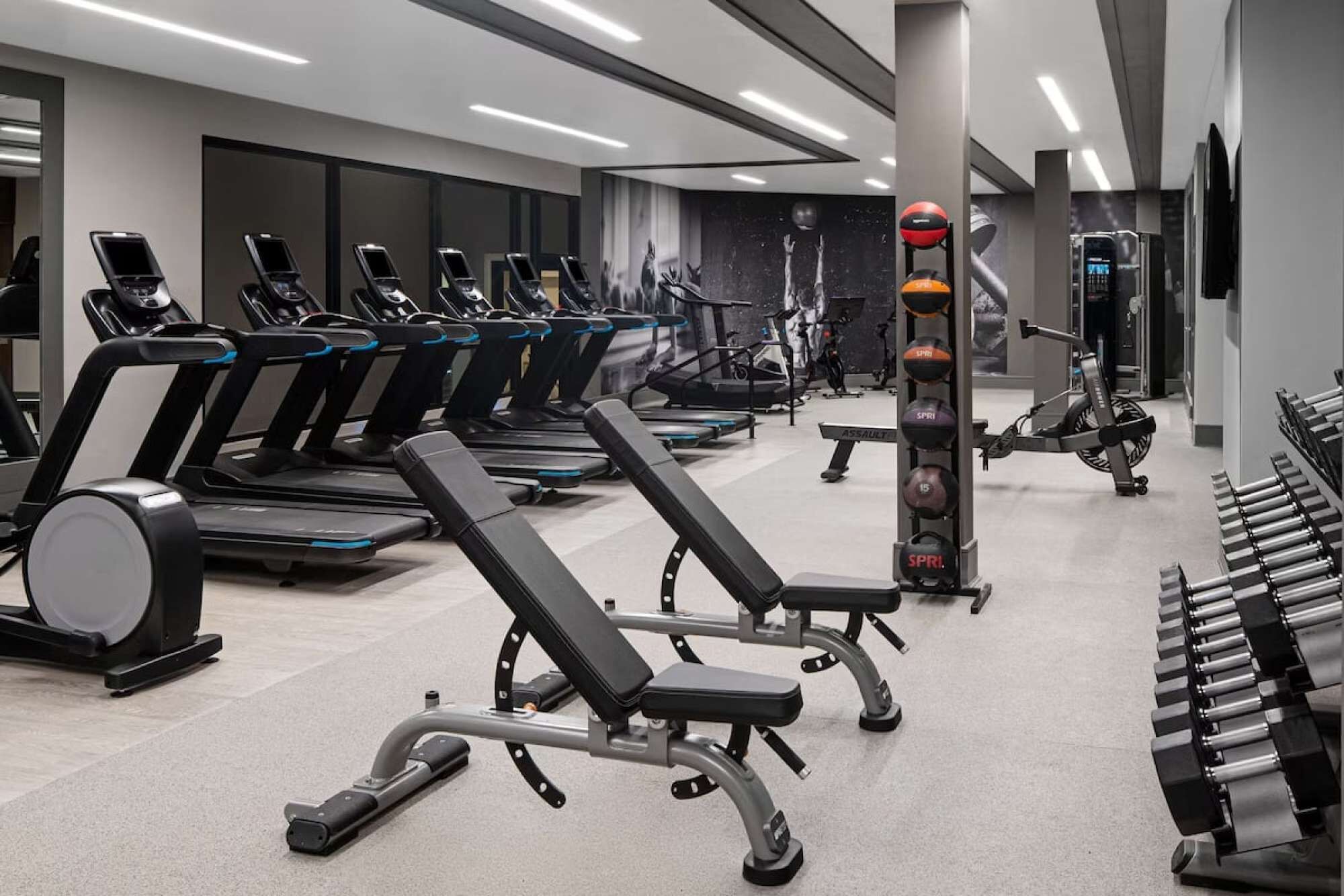 Uma academia moderna com várias esteiras, bancos de peso e diversos tipos de bolas de exercício.