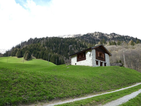 Exteriör