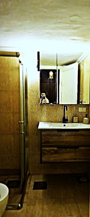 シャワー、ヘアドライヤー、タオル、石鹸