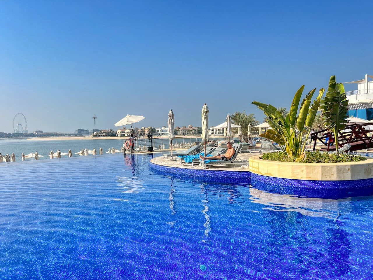 Ein Pool mit freiem Blick auf das Meer, Liegestühle, Sonnenschirme und eine Palme.