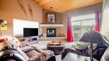 Smart TV, fireplace, books, offices