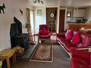 Televisión, chimenea, reproductor de DVD y libros 