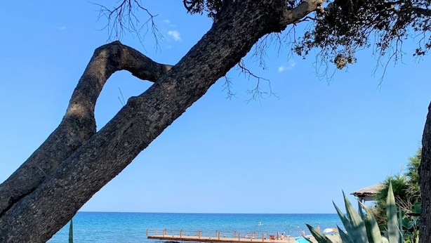 Ein Weg führt zu einem Strand mit einer Holzsteg, umgeben von üppiger Vegetation und einem klaren, blauen Himmel.