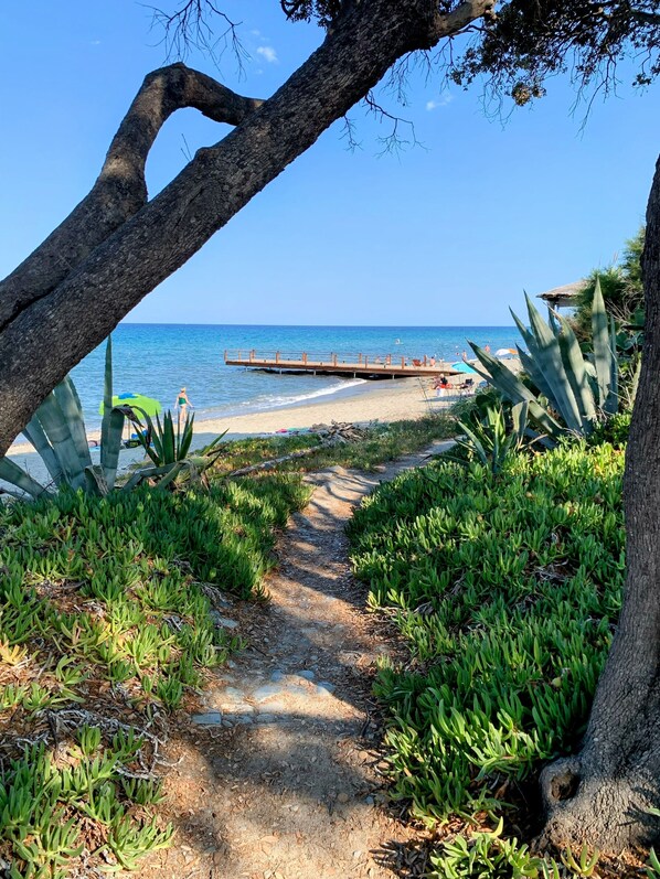 Vlak bij het strand