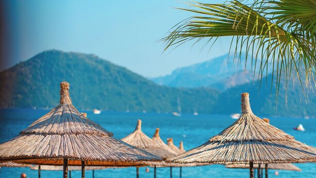 Ein Strand mit Reetdachschirmen, Liegestühlen und entspannten Menschen.
