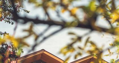 A tranquil resort located at Manali.
Our resort offers WiFi