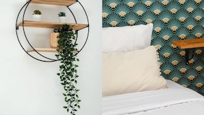 Estante metálico circular con plantas y una enredadera colgante sobre un muro blanco.