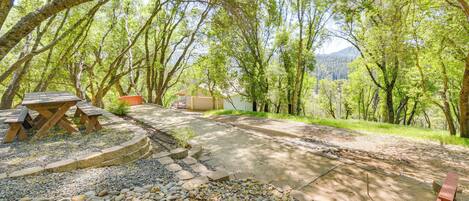 A picnic area with benches and a picnic table surrounded by trees.
