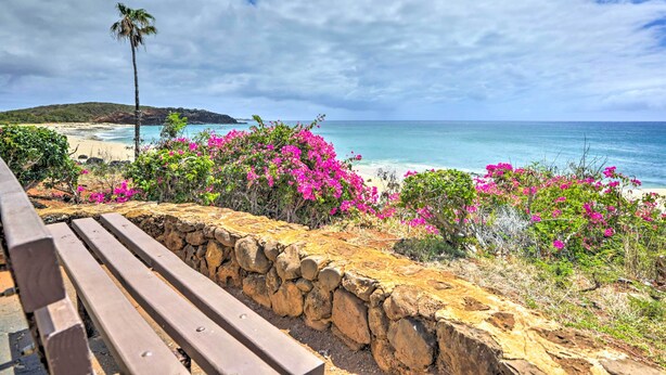 A beach view with a stone wall, wooden bench, and pink flowers. - Oceanfront Condo w/ Pool Access on Molokai! (Maunaloa)