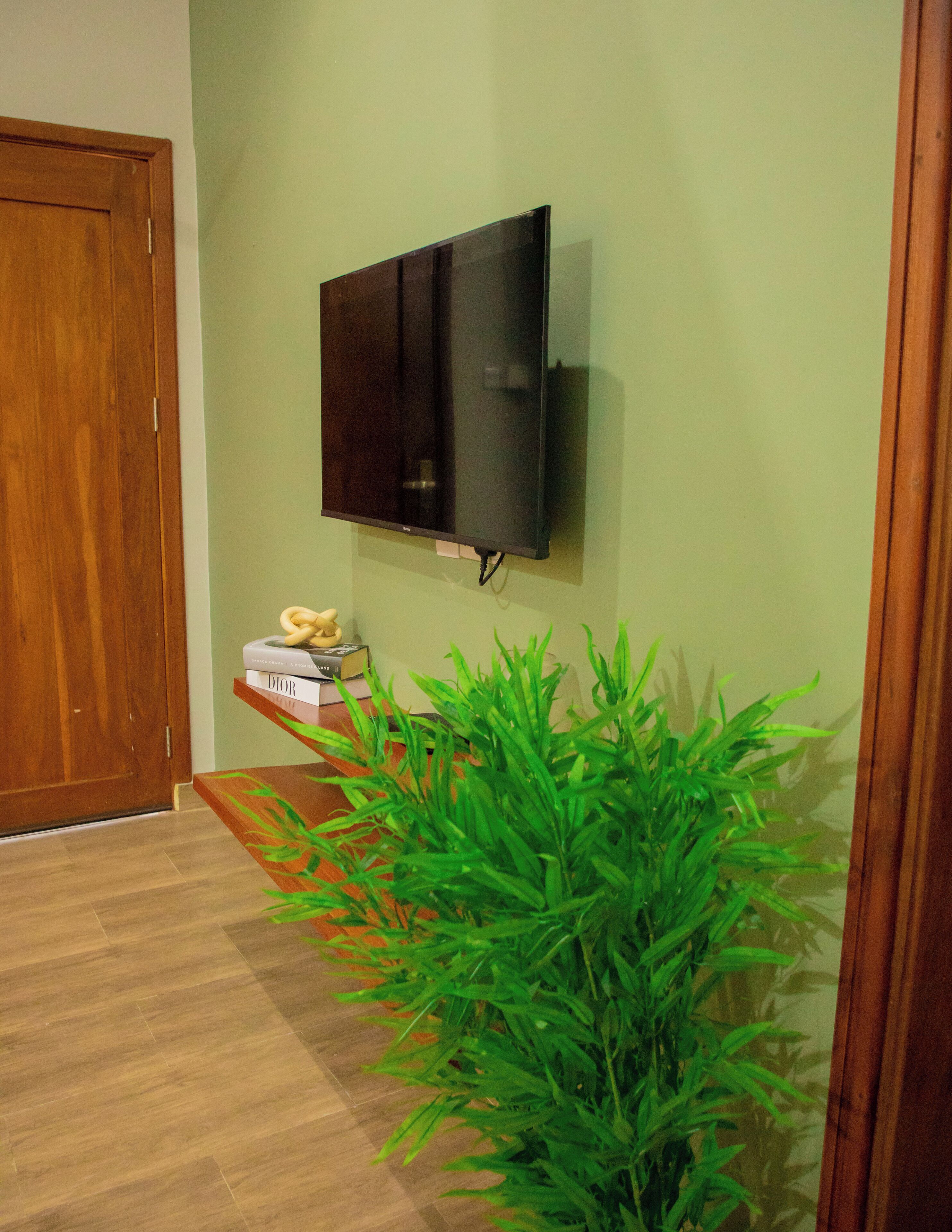 Quarto com porta de madeira, televisão de tela plana na parede, prateleira pequena com livros e uma planta verde.