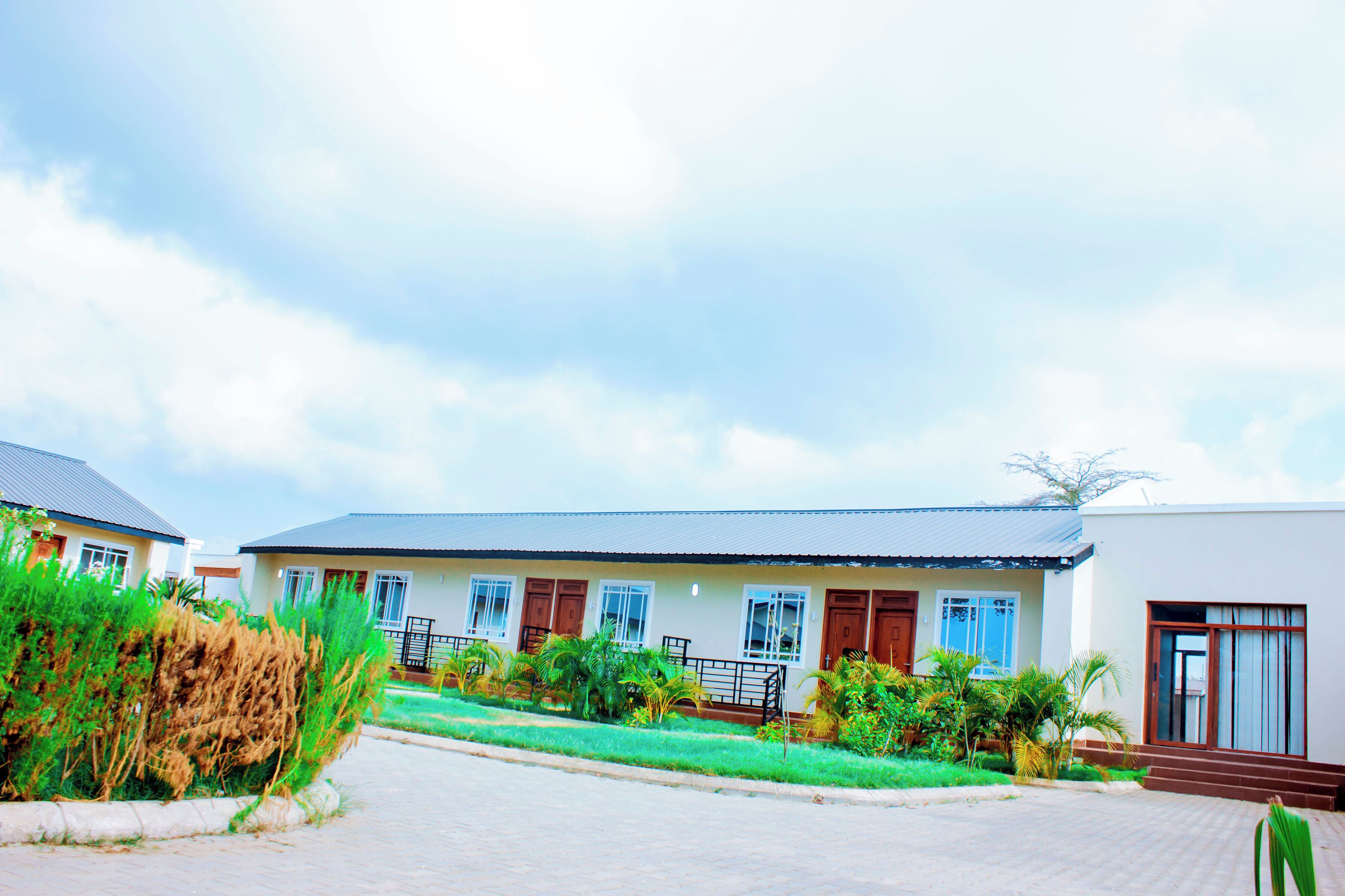 A residential building with a paved driveway, a small garden with various plants, and a clear sky.