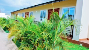 A building with multiple windows and doors, surrounded by lush green palm trees.