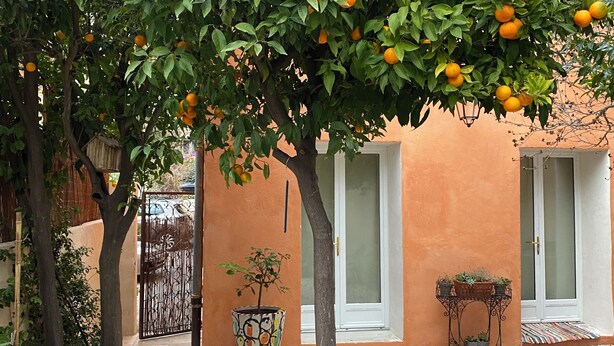 A courtyard with a citrus tree, a cactus, and a potted plant. - House Bormes village La Valentine, 2 levels, near shops, Air-conditioned (Bormes-les-Mimosas)
