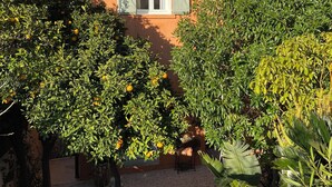 A building with a tiled roof, green shutters, and a garden with orange trees. - House Bormes village La Valentine, 2 levels, near shops, Air-conditioned (Bormes-les-Mimosas)