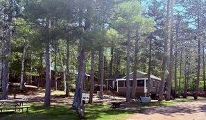 A cabin surrounded by tall trees, with picnic tables and a covered area. - Musky Hideout on Lost Land Lake (Hayward)