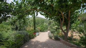 Ein gepflasterter Gartenweg, umgeben von üppigem Grün und Bäumen.