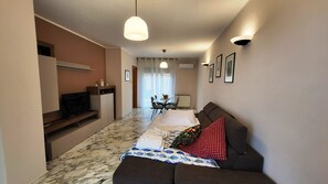 Älytelevisio, kirjoja