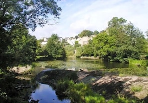 A river with trees and houses in the background.