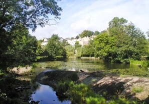 Un río con árboles y casas al fondo.