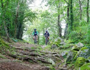 Dos ciclistas en un sendero forestal.
