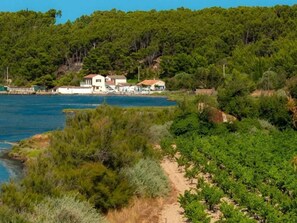 Imagen sin descripción, 2 de 14, botón