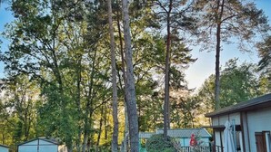 A rustic cabin with a gravel path, surrounded by tall trees and dense foliage.