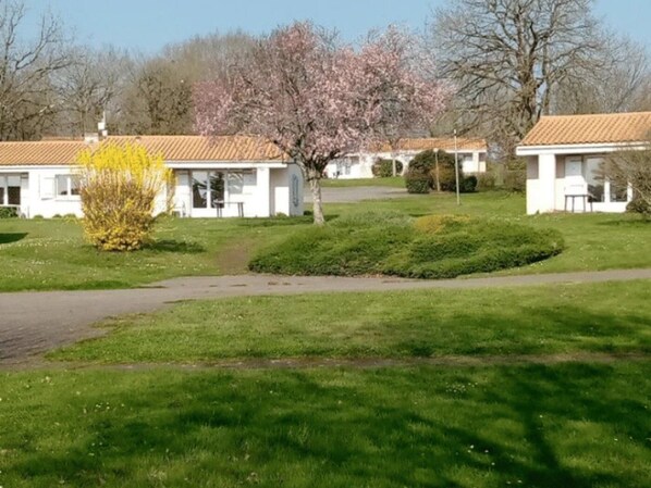 A row of white buildings with red-tiled roofs, surrounded by well-maintained lawns and a flowering tree.