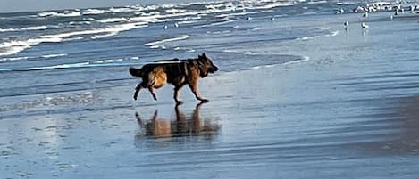 Strand