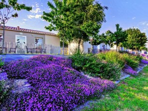 Image sans description, 5 de 25, bouton