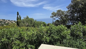 Une vue d’une zone côtière, caractérisée par une végétation luxuriante et un ciel bleu dégagé.