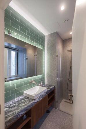 Shower, hair dryer, towels