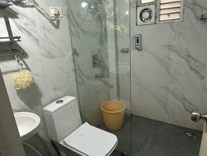 Shower, hair dryer, bidet, towels