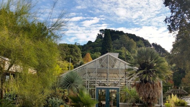 A greenhouse with a metal frame, surrounded by various plants and trees. - Roomy Studio Walkable to UC Berkeley w/parking (Berkeley)