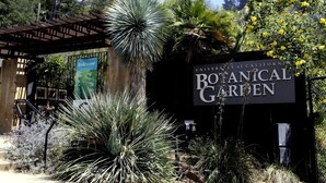 A sign for the University of California Botanical Garden with a pergola and various plants. - Roomy Studio Walkable to UC Berkeley w/parking (Berkeley)